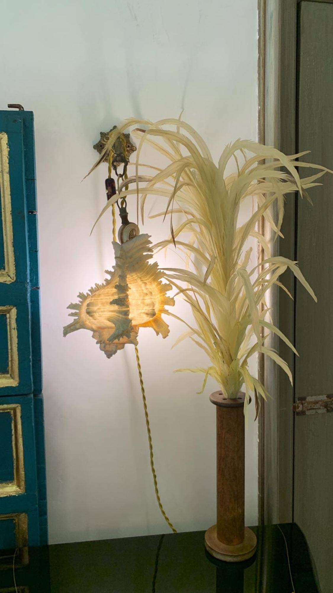 Palazzo Salapolis - Luxury Apartment Gallipoli